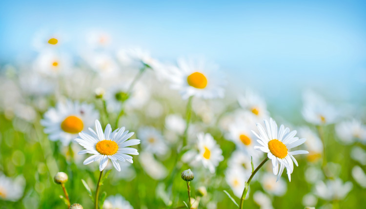 大切なご家族を亡くされた際のショックは計り知れません。