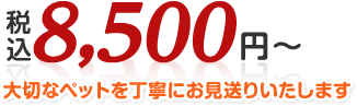 大切なペットを丁寧にお見送りいたします
