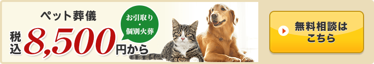 無料相談窓口へ