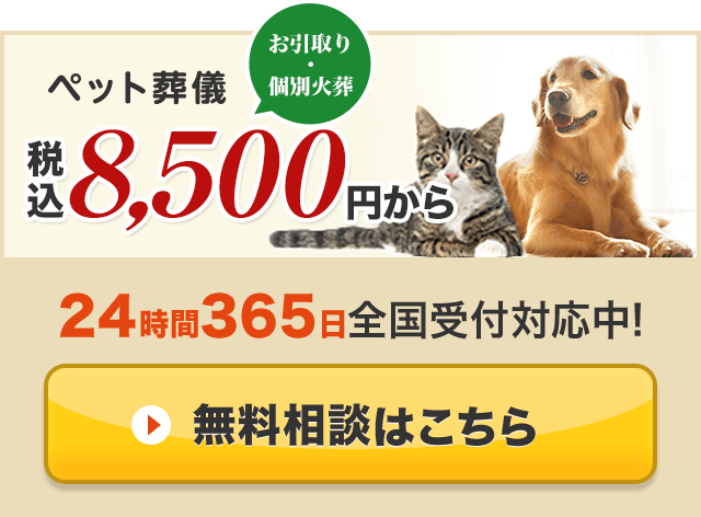 無料相談窓口へ!