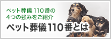 ペット葬儀110番とは
