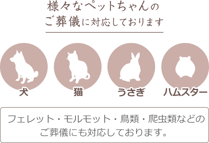 様々なペットちゃんのご葬儀に対応しております