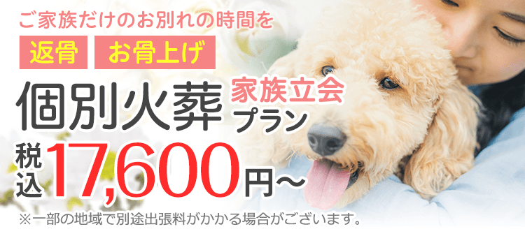 大切なペットちゃんへ 個別火葬のおくりもの お立会い お立会い お骨拾い上げ 有り 税込17,600 円～ 大切なペットちゃんを丁寧にお見送りいたします