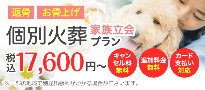 個別火葬家族立会プラン　追加料金不要！ お骨上げ無し お骨上げ有り