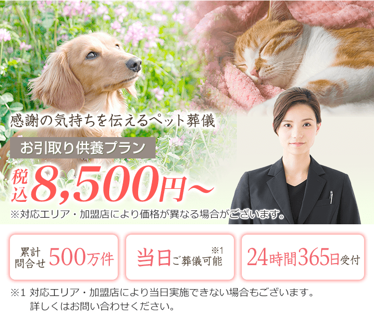 感謝の気持ちを伝えるペット葬儀　お引き取り霊園供養プラン　累計問い合わせ500万件 当日ご葬儀可能　受付24時間365日