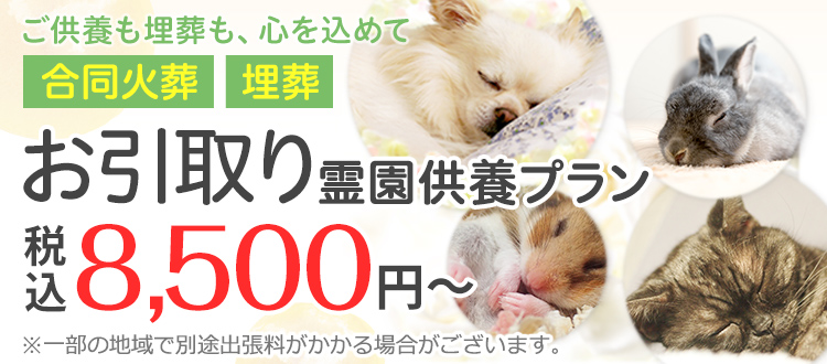 はじめてのペット葬でも、ご安心のお引取り霊園供養プラン 火葬・埋葬 大切なペットちゃんを丁寧にお見送りいたします 