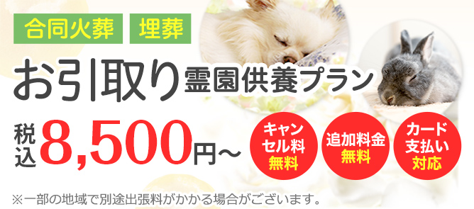お引取り霊園供養プラン 火葬・埋葬 追加料金不要！
