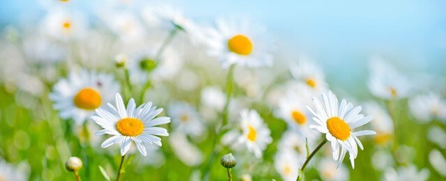 大切なご家族を亡くされた際のショックは計り知れません。