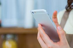 ペット火葬を行うための連絡先