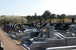 個別墓地