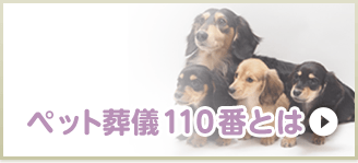 ペット葬儀110番とは
