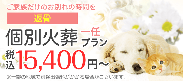 大切なペットちゃんへ 個別火葬のおくりもの お立会い お骨拾い上げ無し 大切なペットちゃんを丁寧にお見送りいたします