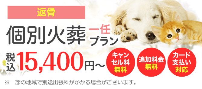 追加料金不要！ お骨上げ無し