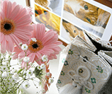 ペット葬儀110番