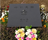 ペット葬儀110番