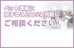 ペット葬儀の駆除に関することならお気軽にご相談ください！