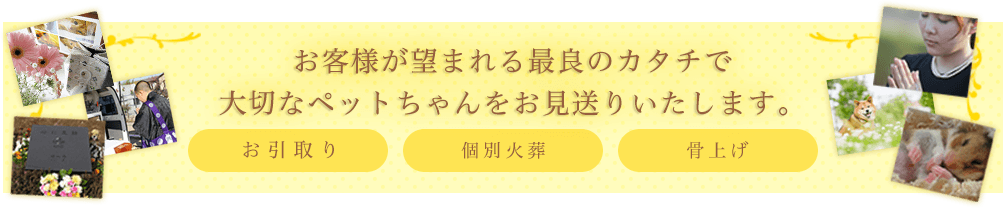 お客様が望まれる最良のカタチで大切なペットちゃんをお見送りいたします。