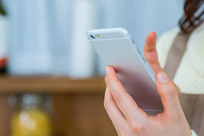 ペット火葬を行うための連絡先